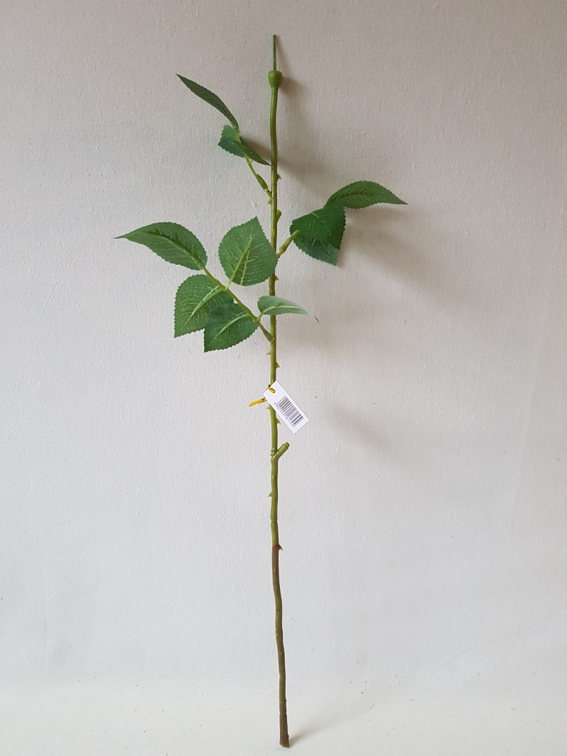 Rožės kotas su trijais lapais 55 cm