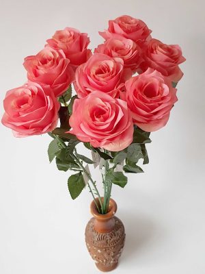 Rožė su kotu, ryški persikinė sp., 10 vnt