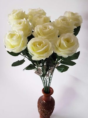 Rožė su kotu, balta sp., 10 vnt