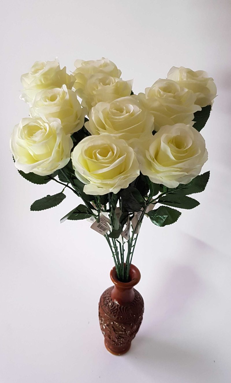 Rožė su kotu, balta sp., 10 vnt