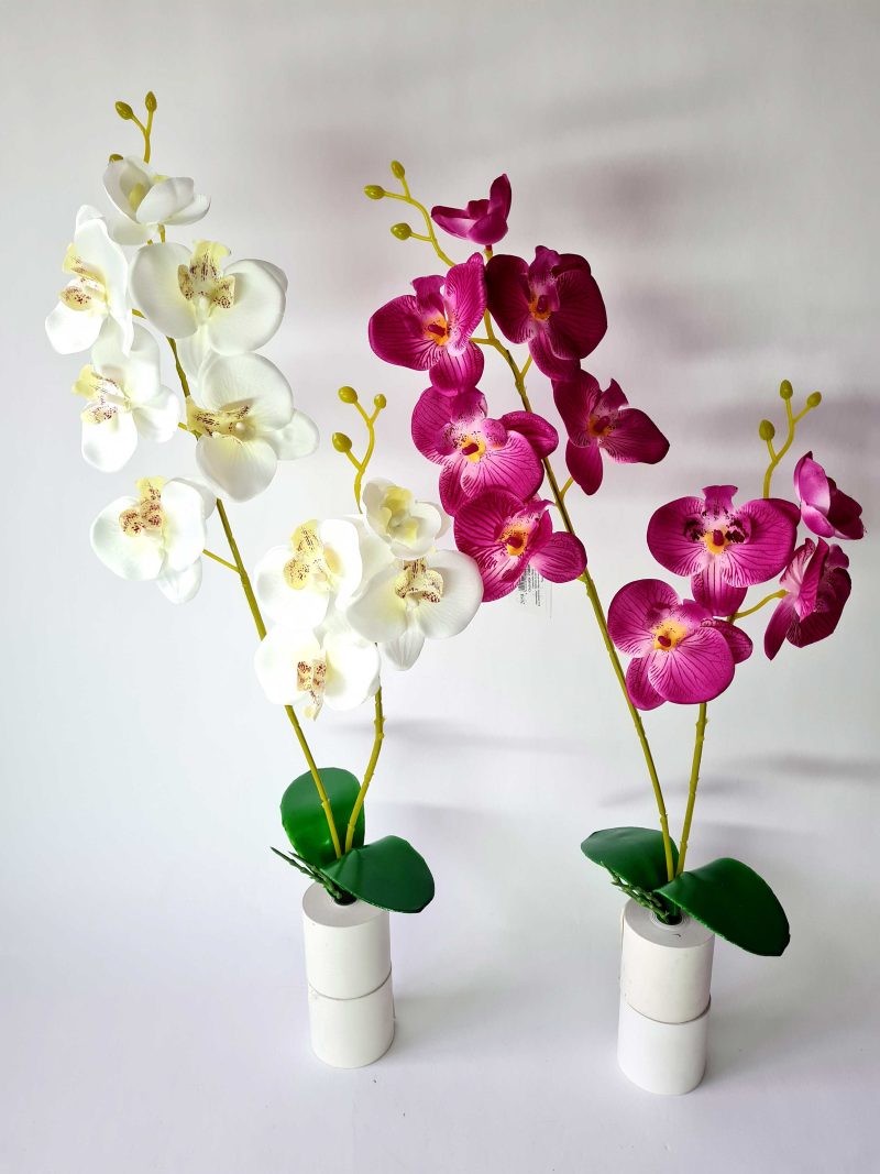 Orchidėja 2-jų šakų su lapais