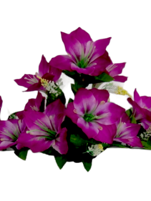 Gėlių padėklas-puokštė su amarilio žiedais, violetinė sp., 14 ž.